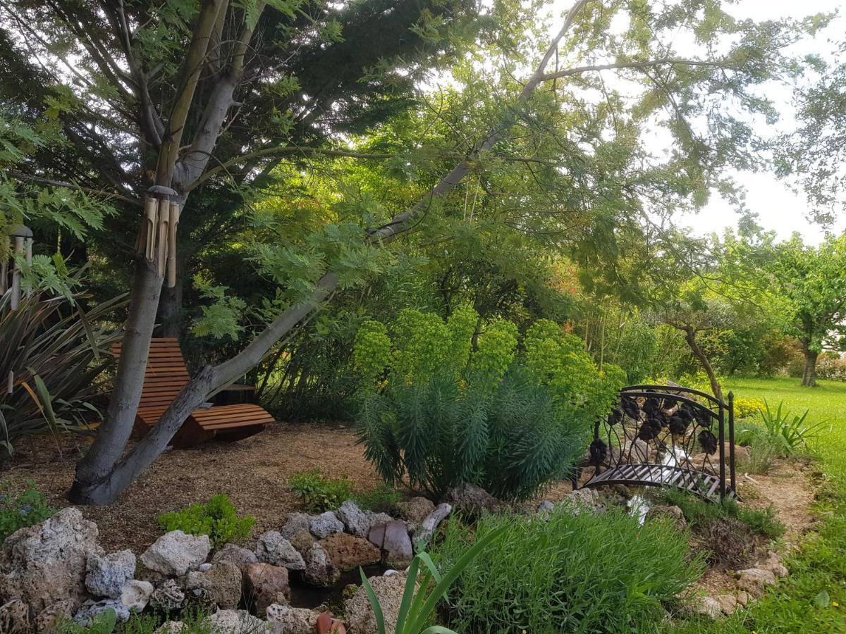 Maison Mimosa Salernes Luaran gambar