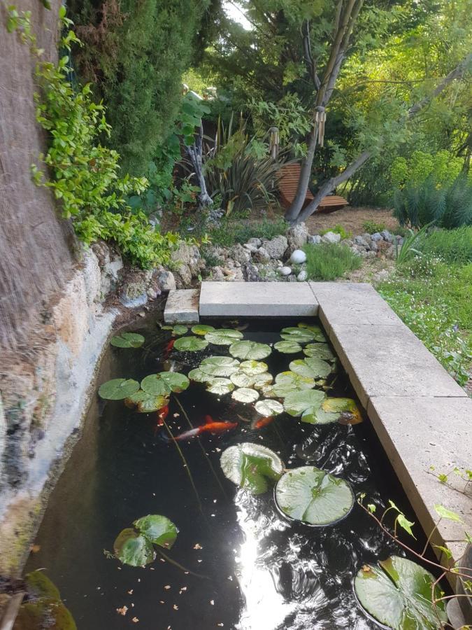 Maison Mimosa Salernes Luaran gambar