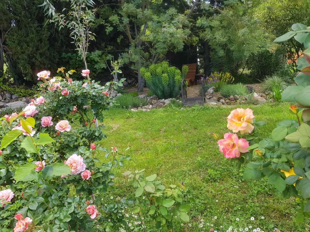 Maison Mimosa Salernes Luaran gambar